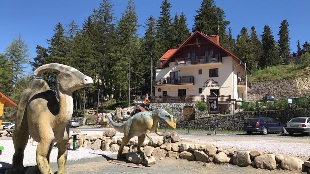 Safir Przy Samym Wyciagu Bed and Breakfast Karpacz Exteriör bild