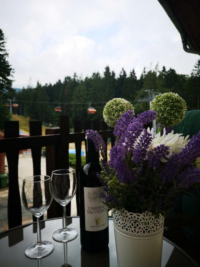 Safir Przy Samym Wyciagu Bed and Breakfast Karpacz Exteriör bild
